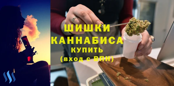 ECSTASY Богородск