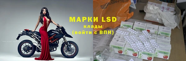 эйфоретик Богданович