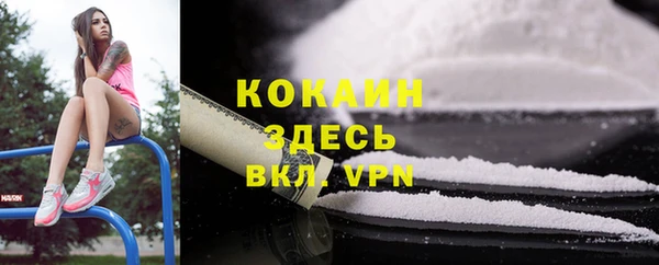 ECSTASY Богородск