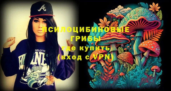 эйфоретик Богданович