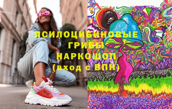 ECSTASY Богородск
