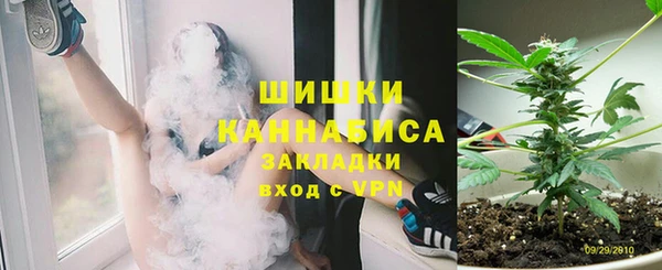 эйфоретик Богданович