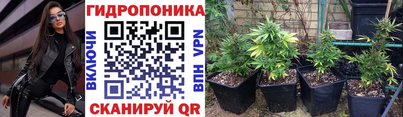 Конопля Amnesia  кракен как зайти  Беломорск 
